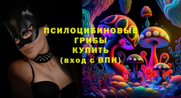 амф Михайловск