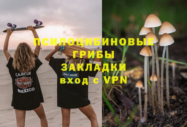 амф Михайловск