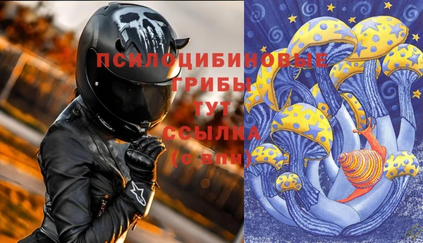 прущие крисы Михайловка