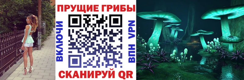 Галлюциногенные грибы GOLDEN TEACHER  наркота  hydra ONION  Шлиссельбург 